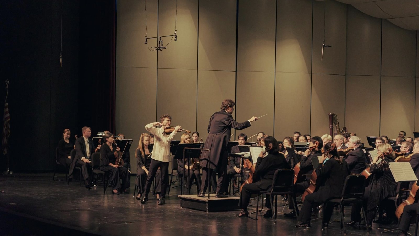 Simone Spadino-Pippa - Violinist